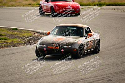 media/Feb-17-2024-Extreme Speed (Sat) [[f2f02d613c]]/Red Group/Session 3 (Turn 4)/